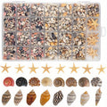 Tiny Seashells for Crafts and Coastal Decor, 1200-Piece Mixed Shell Listing with 21 Starfish for Vase Fillers, Beach Party Tables and DIY Displays