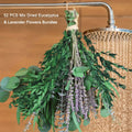 Eucalyptus Shower Bundle with Lavender, 52-Piece Natural Dried Botanical Stems, 17-Inch Hanging Greenery for Bathroom Decor and Home Spa Styling