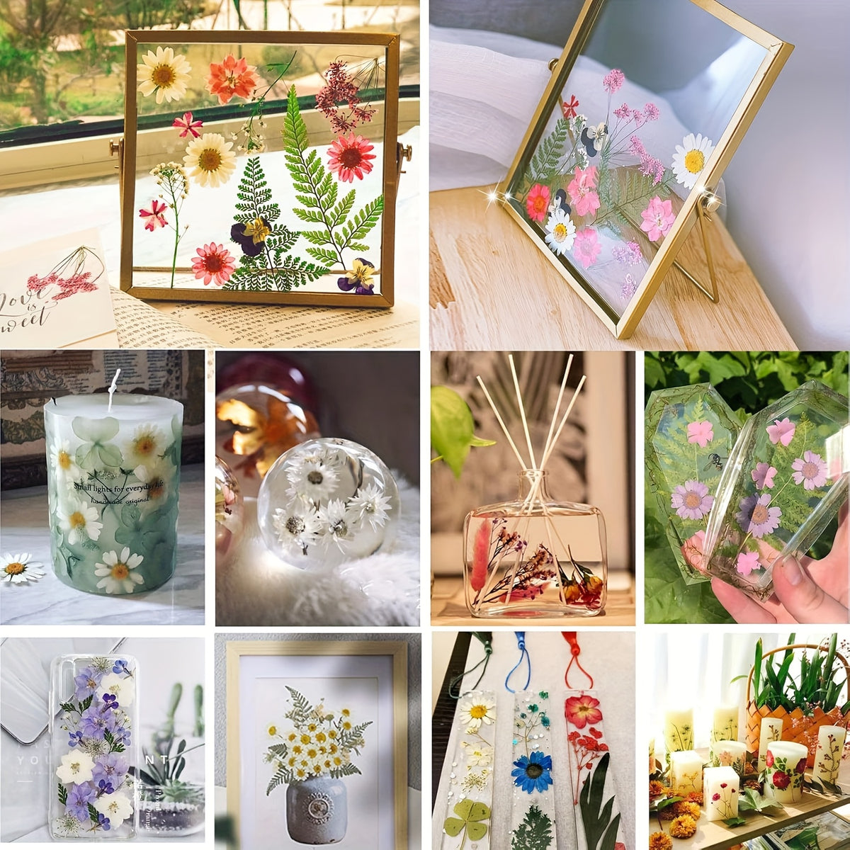 500pcs of Random Materials for Pressed Flowers, Natural Dried Flowers, Resin Molds, Nail Art, Making, Phone Case, Artistic Crafts, Jewelry Making, Scrapbooking, Floral Decorations, Picture Frames, Halloween Decorations, Christmas Gifts, And More