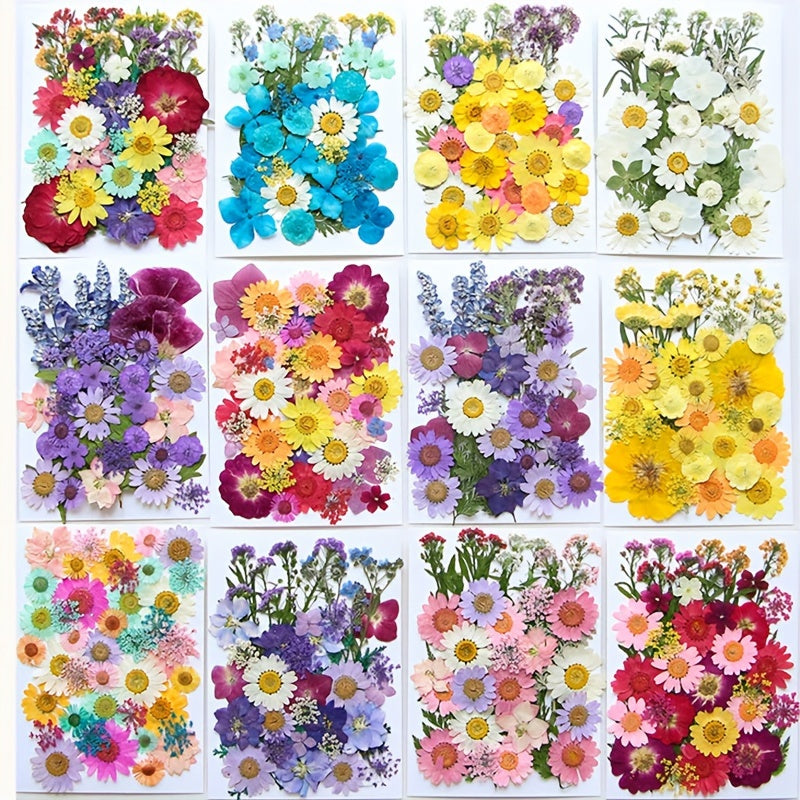 153-160pcs Vibrant Dried Pressed Flowers And Leaves Set - Nature-Inspired Decoration Kit for Crafts, Resin Jewelry, Scrapbooking And More