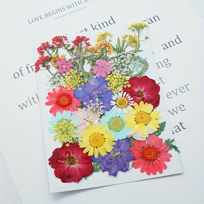 153-160pcs Vibrant Dried Pressed Flowers And Leaves Set - Nature-Inspired Decoration Kit for Crafts, Resin Jewelry, Scrapbooking And More
