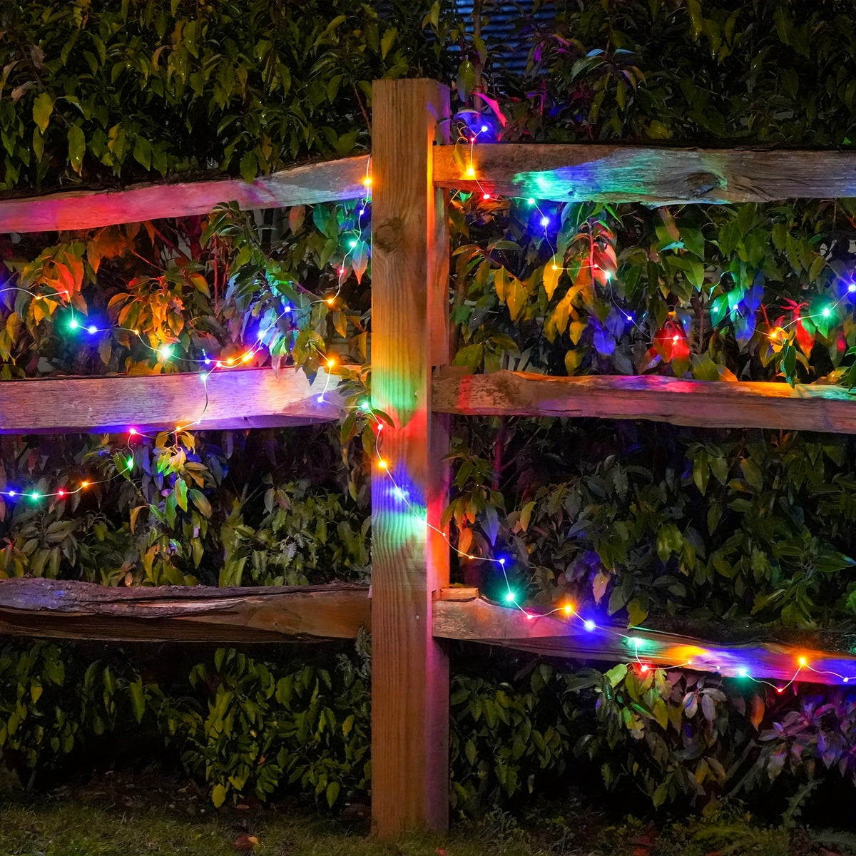 LED Christmas String Lights, Green Wire with 8 Modes, Memory and Timer in Warm, White or Multicolor Options for Indoor and Outdoor Holiday Decor