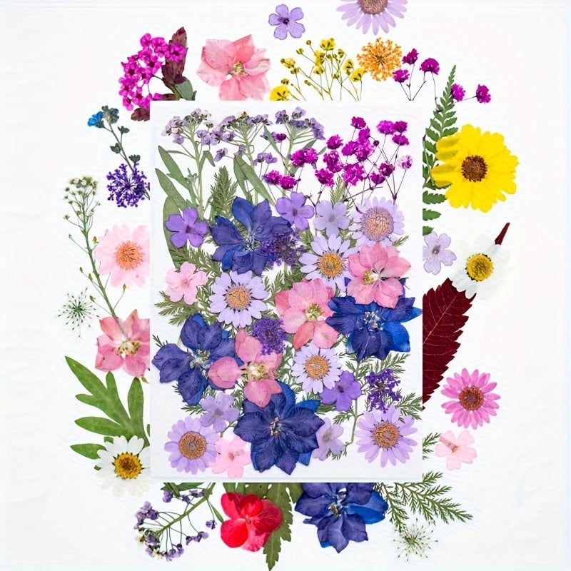 140pcs Vibrant Dried Flowers and Leaves Set - Nature-Inspired Decoration Kit for DIY Crafts, Resin Jewelry, Scrapbooking and More