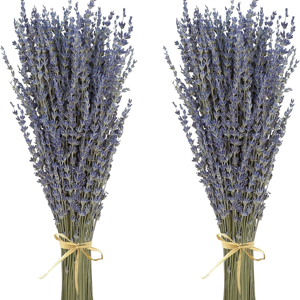 Two Bunches of Dried Lavender, Completely Fresh And Natural, Perfect for Bathroom Photo Props, Crafts, And Decoration. Each Bunch Measures 15-17 Inches, Ideal for Shower, Wedding Vase Decor, And Home Fragrance, Totaling 200-220 Stems (100G/3.5Oz)
