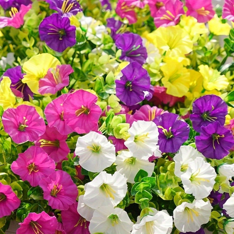 Mixed Color Artificial Morning Glory Flowers, 10 Bundles in Five Colors for Front Porch Planters, Patio Arrangements, Window Boxes and Home Decor