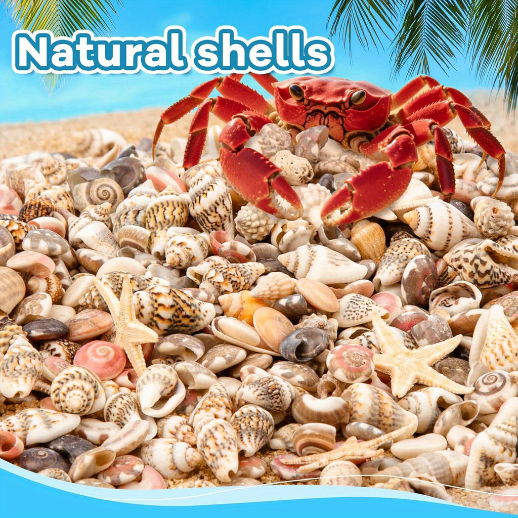 1200pcs Tiny Seashells& 21 Starfish Mixed Bulk Beach Small Shells for Home Decor, Beach Theme Party Decorations, Fish Tank Aquarium Decor, Sea Shells for Crafting Vase Filler, Beach Candle