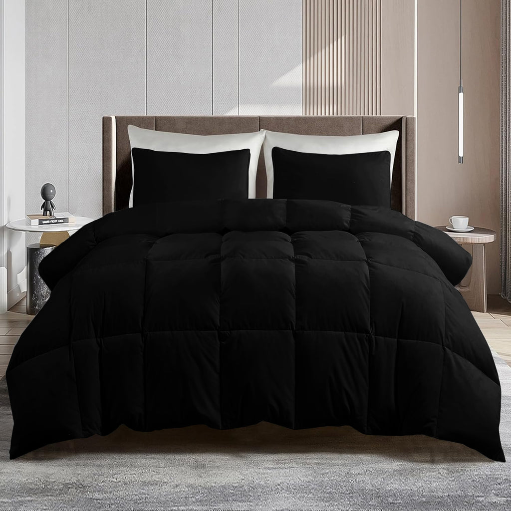 Lux Decor Comforter - All Season Quilt Comforter For Summer Sleeping With Corner Tabs - Soft, Breathable Versatile Bedding & Bedroom Decor - Luxurious Box Stitching