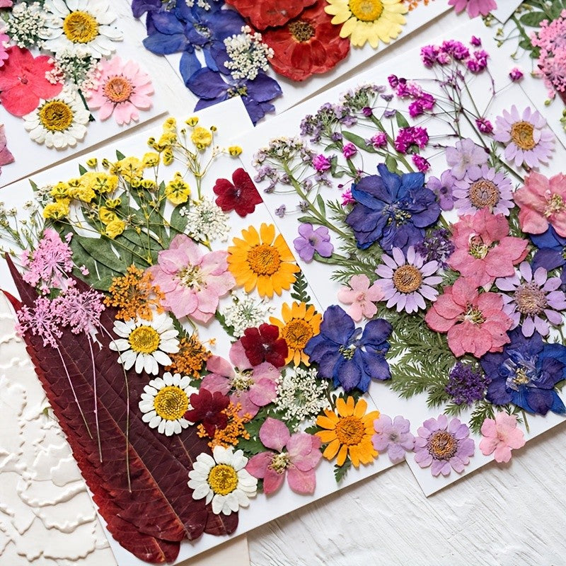 140pcs Vibrant Dried Flowers and Leaves Set - Nature-Inspired Decoration Kit for DIY Crafts, Resin Jewelry, Scrapbooking and More