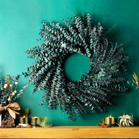Dried Eucalyptus Stems, 21-Piece Real Botanical Greenery Bundle for Wedding Aisle Decor, Vase Arrangements, Indoor Garlands and Spa-Inspired Hanging Displays