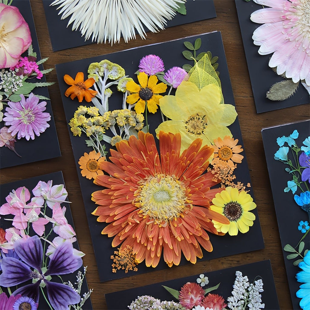 60pcs Dried Pressed Flowers For Resin, Real Pressed Flowers Dry Leaves Bulk Natural Herbs Kit For Scrapbooking DIY Art Crafts, Epoxy Resin Jewelry Molds, Candle, Soap Making, Nails Décor