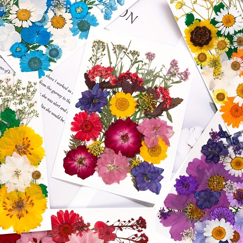 500pcs of Random Materials for Pressed Flowers, Natural Dried Flowers, Resin Molds, Nail Art, Making, Phone Case, Artistic Crafts, Jewelry Making, Scrapbooking, Floral Decorations, Picture Frames, Halloween Decorations, Christmas Gifts, And More