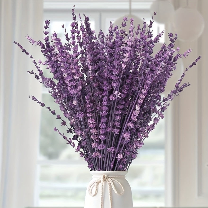 60+ Pcs Dried Preserved Eucalyptus Stems & Purple Lavender Flowers for Shower, 17'' Hanging Silver Dollar Eucalyptus Leaves Stems, Fragrance Home Bathroom Decor