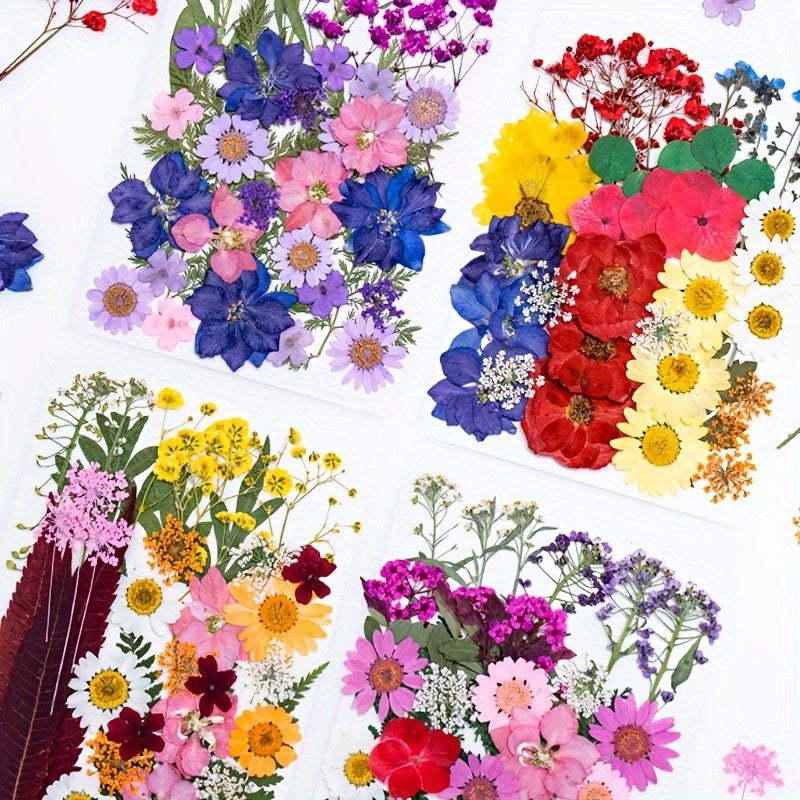 Dried Flower and Leaf Craft Set, 140 Colorful Botanical Pieces for Resin Jewelry, Scrapbooking, Handmade Cards and Nature Inspired Home Decor Projects