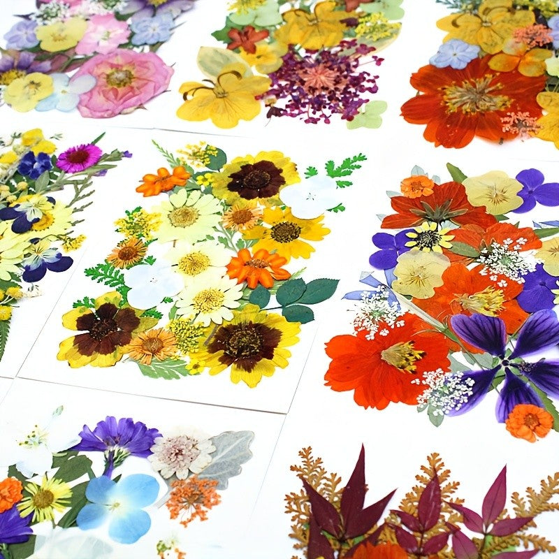 500pcs of Random Materials for Pressed Flowers, Natural Dried Flowers, Resin Molds, Nail Art, Making, Phone Case, Artistic Crafts, Jewelry Making, Scrapbooking, Floral Decorations, Picture Frames, Halloween Decorations, Christmas Gifts, And More