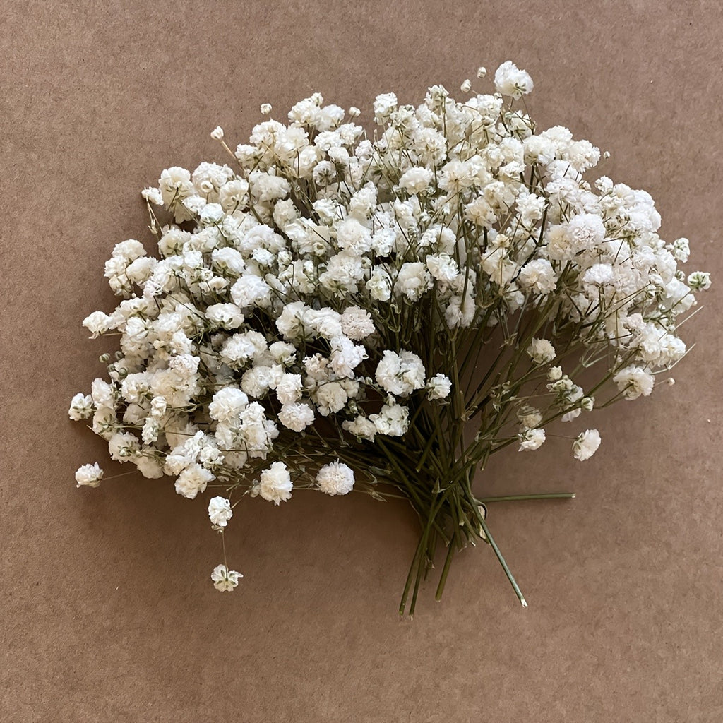 110pcs White Mini Dried Baby'S Breath Bouquet | Pampas Grass, Perfect for Arrangements, Greeting Cards, Weddings, Home & Office Decor