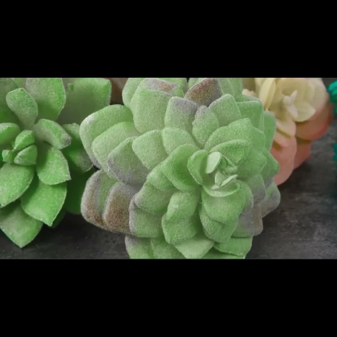 Artificial Succulent Picks, 20-Piece Random Assortment of Unpotted Faux Plants for DIY Arrangements, Shelf Displays and Indoor Home Decor