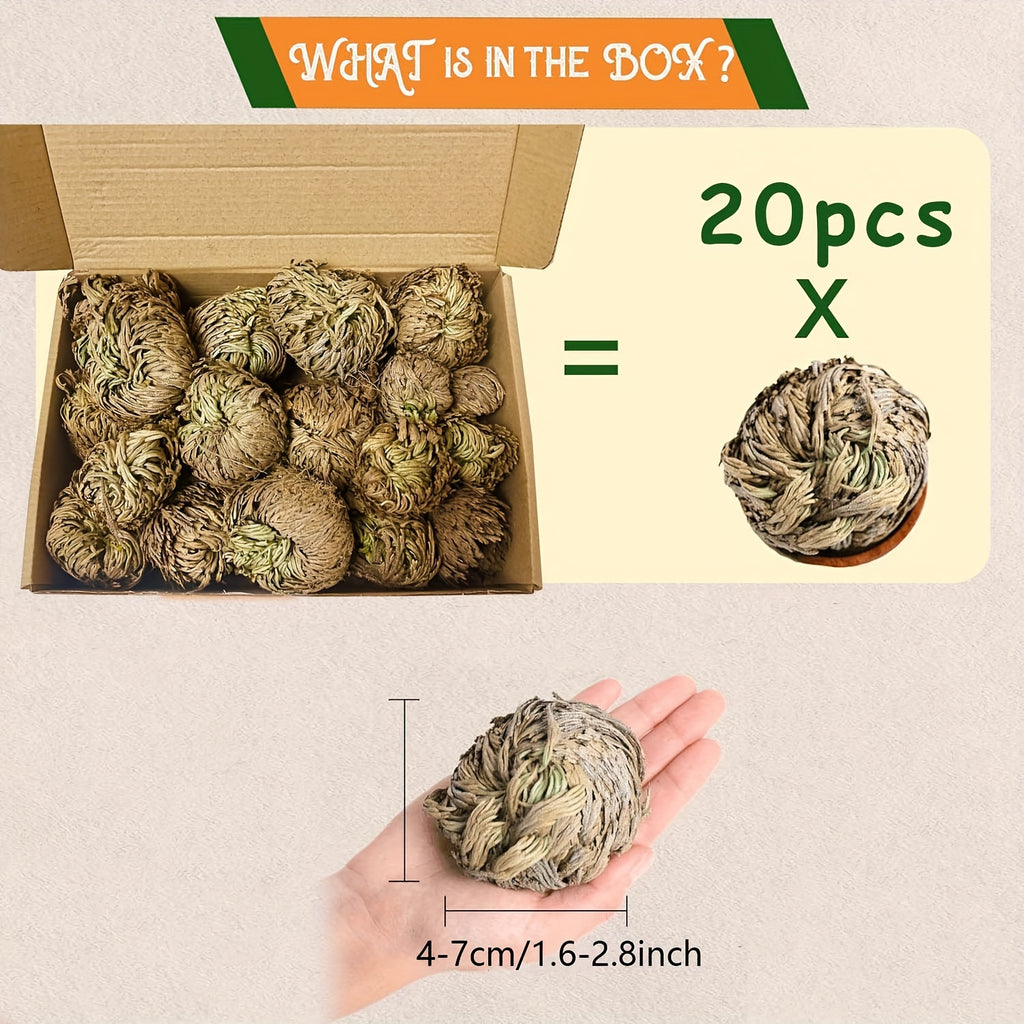 20pcs/box Rose Of Jericho, Selaginella Lepidophylla, Dried Rose, Sacred Rose I Doradilla Plant, Dried Plants - Dried Fern Like Scale Leaf Prayer Plants - For Spiritual Purification, Home Decor, Spiritual Cleansing, Luck, And Prosperity - Gift for Spiritua