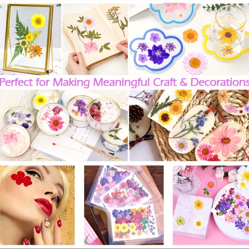 153-160pcs Vibrant Dried Pressed Flowers And Leaves Set - Nature-Inspired Decoration Kit for Crafts, Resin Jewelry, Scrapbooking And More