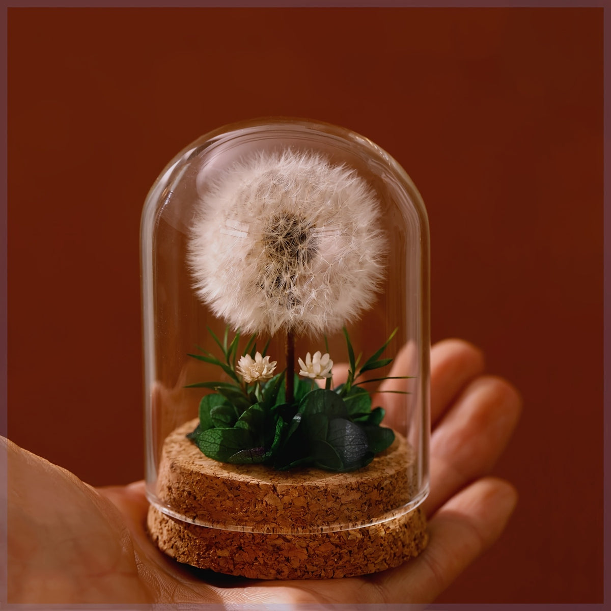 Eternal Dandelion in Glass Dome Decoration - Preserved Floral arrangement with Transparent Display Case, No Electricity Needed Home/Office/Desk Decor - Perfect Gift Box for Mother's Day, Birthday, Christmas, Teacher Appreciation - Long-Lasting Keepsake, F