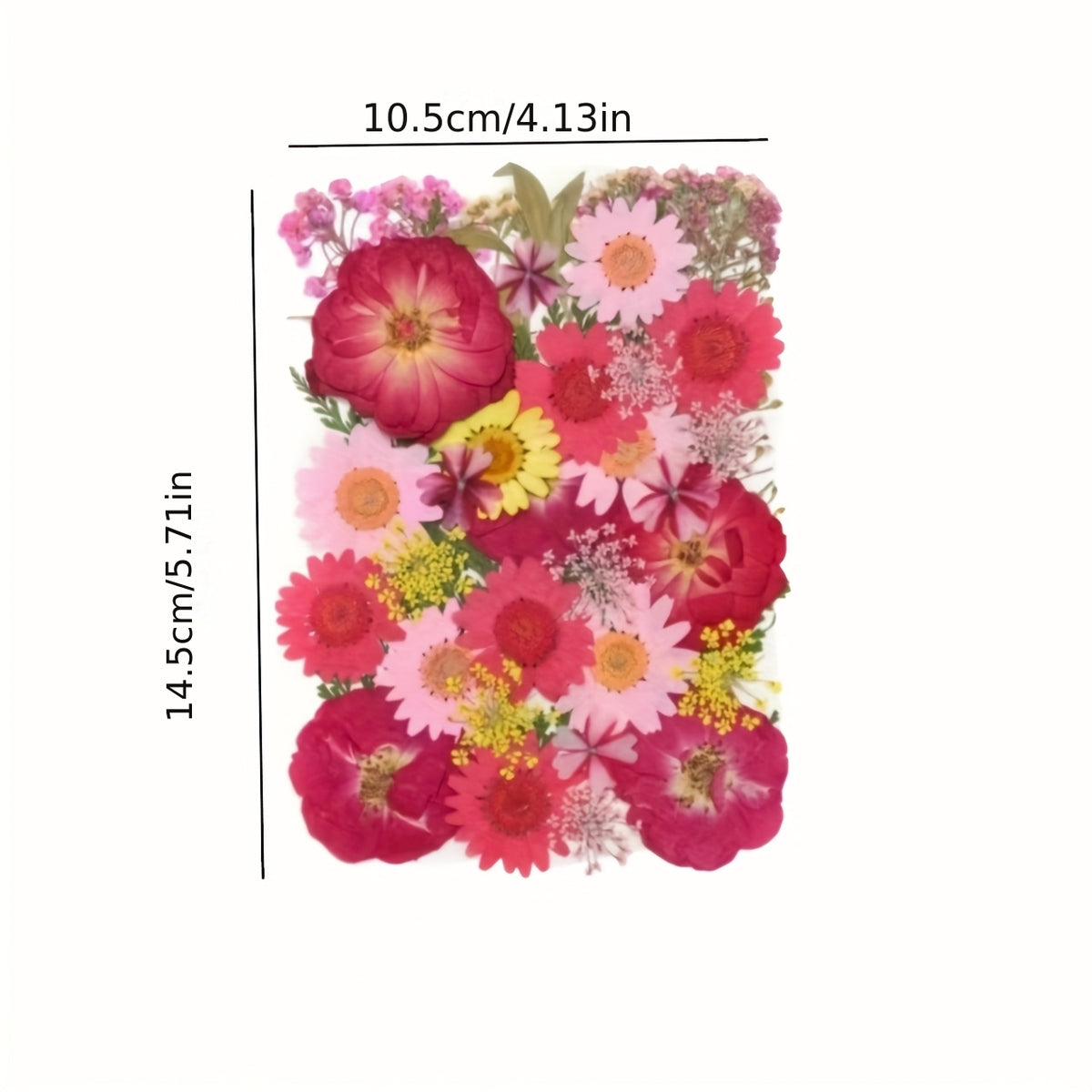 500pcs of Random Materials for Pressed Flowers, Natural Dried Flowers, Resin Molds, Nail Art, Making, Phone Case, Artistic Crafts, Jewelry Making, Scrapbooking, Floral Decorations, Picture Frames, Halloween Decorations, Christmas Gifts, And More