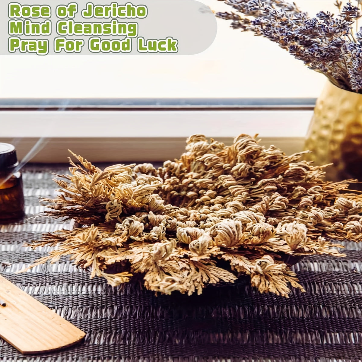 20pcs/box Rose Of Jericho, Selaginella Lepidophylla, Dried Rose, Sacred Rose I Doradilla Plant, Dried Plants - Dried Fern Like Scale Leaf Prayer Plants - For Spiritual Purification, Home Decor, Spiritual Cleansing, Luck, And Prosperity - Gift for Spiritua