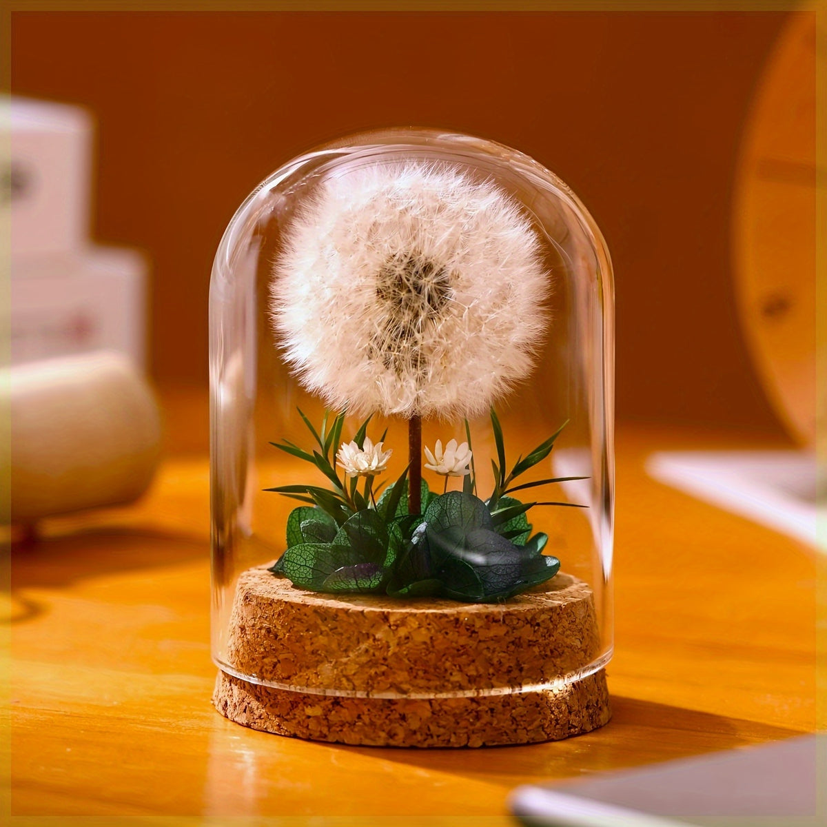 Eternal Dandelion in Glass Dome Decoration - Preserved Floral arrangement with Transparent Display Case, No Electricity Needed Home/Office/Desk Decor - Perfect Gift Box for Mother's Day, Birthday, Christmas, Teacher Appreciation - Long-Lasting Keepsake, F