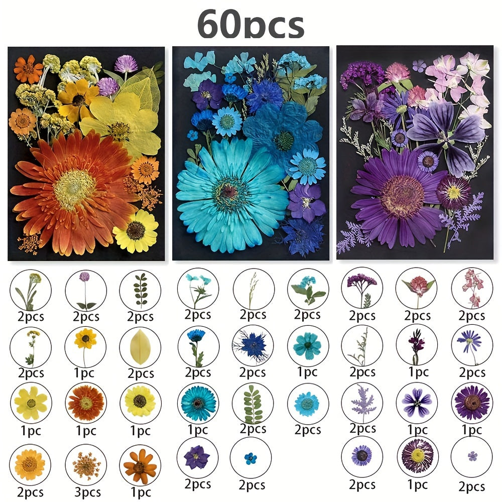 60pcs Dried Pressed Flowers For Resin, Real Pressed Flowers Dry Leaves Bulk Natural Herbs Kit For Scrapbooking DIY Art Crafts, Epoxy Resin Jewelry Molds, Candle, Soap Making, Nails Décor