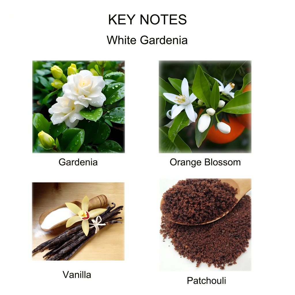KBHOMFRA Rattan Reed Diffuser, Infused with the Fragrance of Jasmine, Cedarwood, and Gardenia, Paired with Autumn-themed Dried Flowers and Rattan Reeds. Contains 4.06oz of Essential Oil for Long-lasting Fragrance, up to 90 Days. Suitable for Living