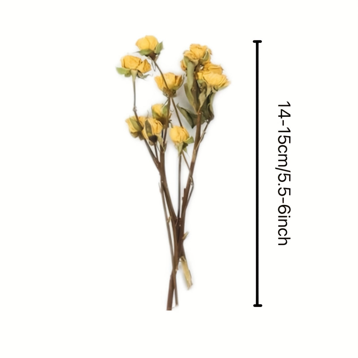 Dried Flower Bouquet with Pampas Grass - Bohemian Wedding Centerpieces, Dried Cake Flowers & Boutonnieres for Groom/Best for Man - Low Maintenance Wedding, & Decor - -Lasting Botanical Arrangement