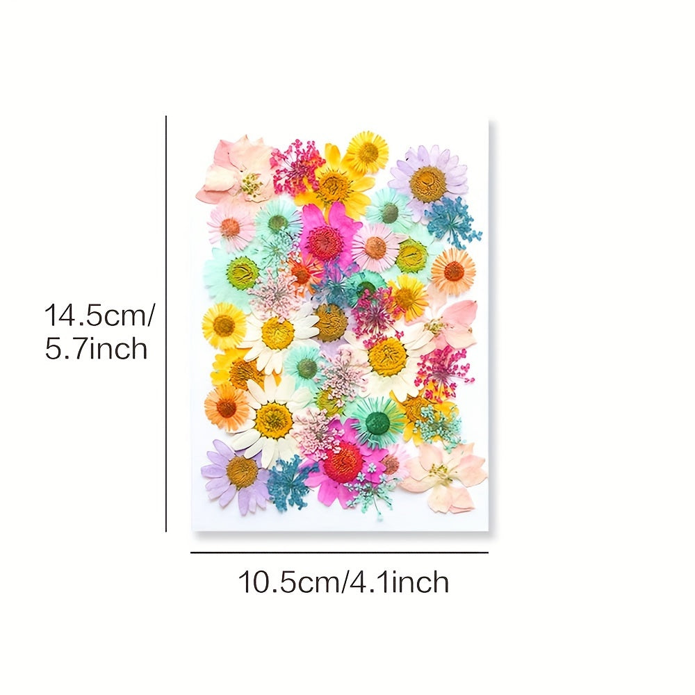 153-160pcs Vibrant Dried Pressed Flowers And Leaves Set - Nature-Inspired Decoration Kit for Crafts, Resin Jewelry, Scrapbooking And More