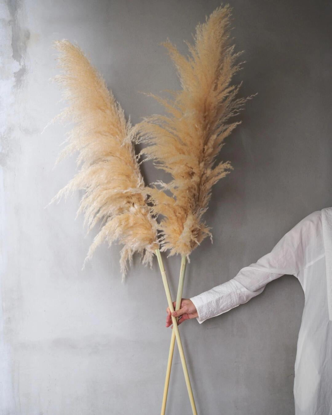 45 Inch Pampas Grass Stalks, 10-Piece Natural Decorative Stem Set for Tall Floor Vases, Living Room Displays, Boho Home Styling and Woven Wall Arrangements