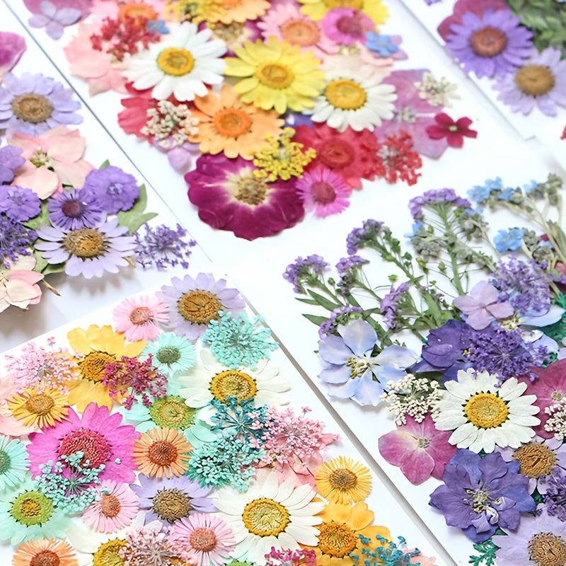 153-160pcs Vibrant Dried Pressed Flowers And Leaves Set - Nature-Inspired Decoration Kit for Crafts, Resin Jewelry, Scrapbooking And More