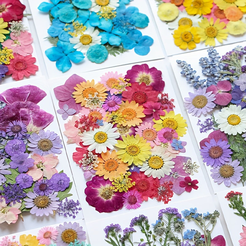 153-160pcs Vibrant Dried Pressed Flowers And Leaves Set - Nature-Inspired Decoration Kit for Crafts, Resin Jewelry, Scrapbooking And More