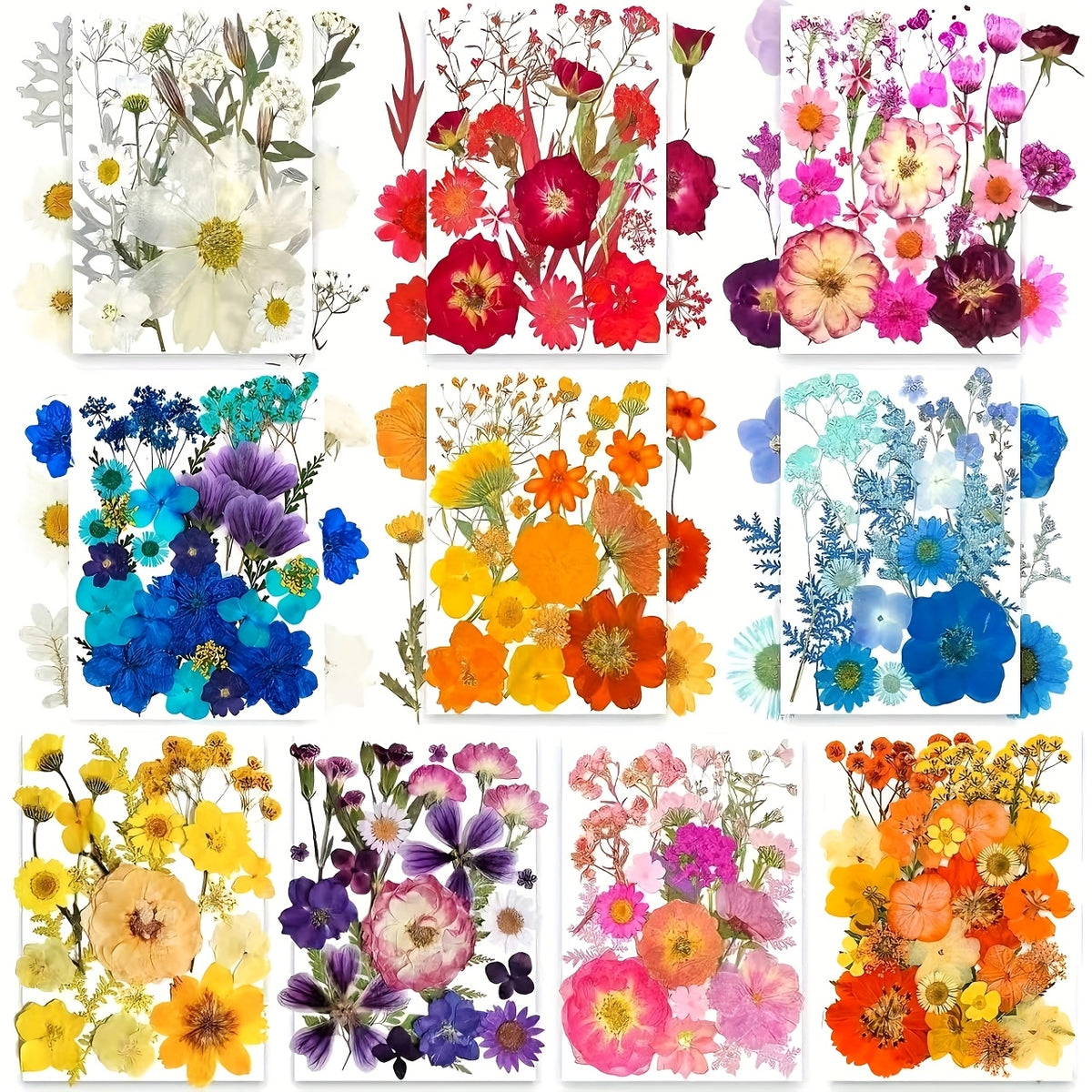500pcs of Random Materials for Pressed Flowers, Natural Dried Flowers, Resin Molds, Nail Art, Making, Phone Case, Artistic Crafts, Jewelry Making, Scrapbooking, Floral Decorations, Picture Frames, Halloween Decorations, Christmas Gifts, And More